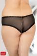 Softline - Slip aperti in tulle e pizzo.