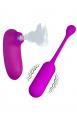 Kit ovetto vibrante wireless + stimolatore clitorideo.