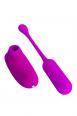 Kit ovetto vibrante wireless + stimolatore clitorideo.