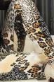 Leggings fantasia animalier beige/nero.