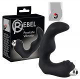Prostate Vibrator