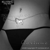 BELLYSTRING: ZODIACO - CATENELLA CORPO.