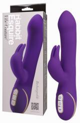 Rabbit Esquire. Viola