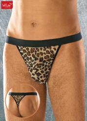 Tanga leopardato
