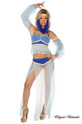 Costume danzatrice del ventre 4 pezzi.