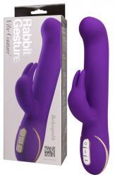 Rabbit Gesture. Viola
