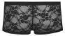 Boxer in pizzo.