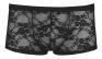 Boxer in pizzo.