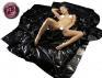 Telo in PVC 200X230 vari colori.