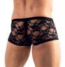 Boxer in pizzo.